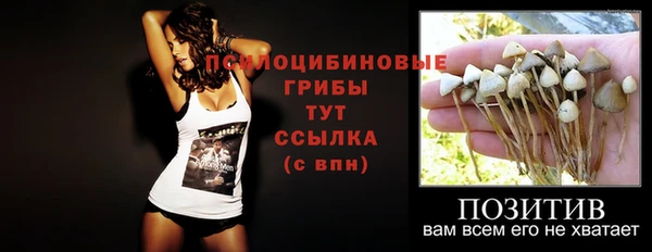 стафф Абаза