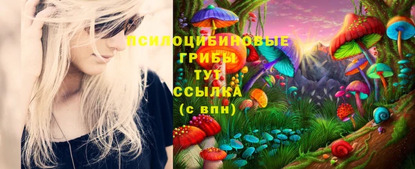спиды Пестово