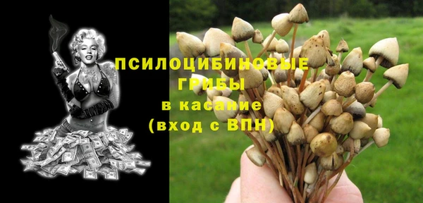 стафф Абаза