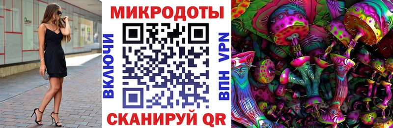 это какой сайт  Полярный  Псилоцибиновые грибы Cubensis  закладка 
