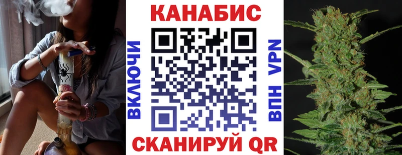 сколько стоит Полярный Каннабис план